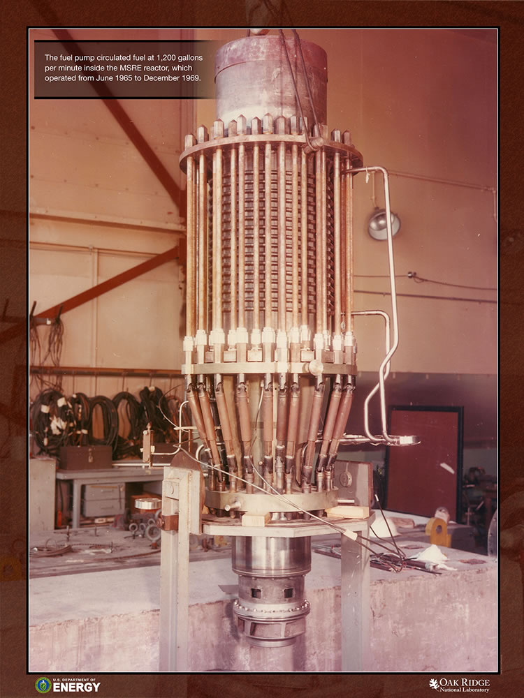 50th MSRE Anniversary – Fuel Salt Pump